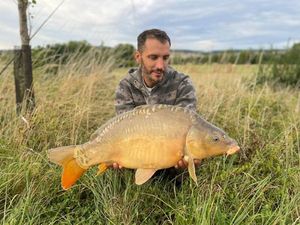 Mirror Carp