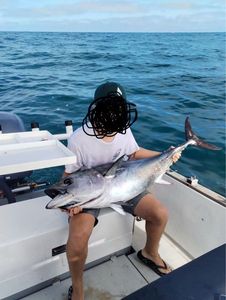 Bluefin Tuna