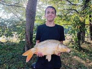 Mirror Carp