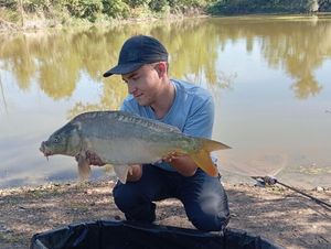Mirror Carp