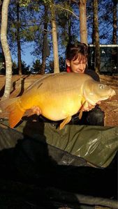 Mirror Carp