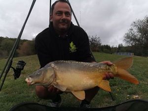 Mirror Carp