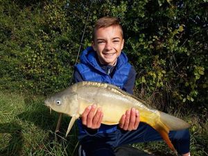 Mirror Carp