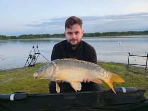 Mirror Carp