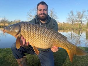 Common Carp