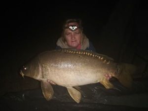 Mirror Carp