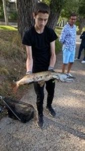Northern Pike