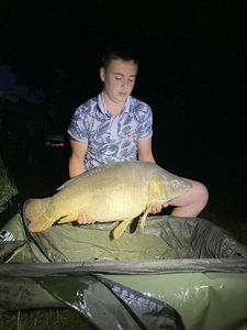 Mirror Carp