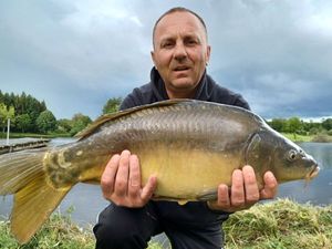 Mirror Carp