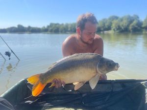 Mirror Carp