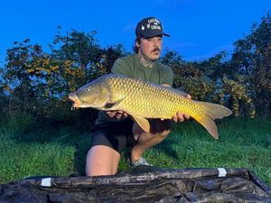 Common Carp