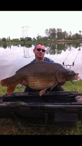 Common Carp