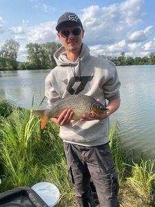 Common Carp