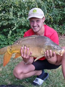 Mirror Carp