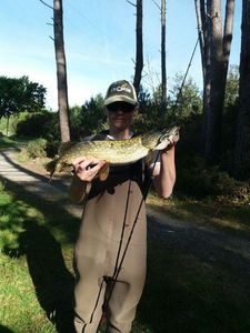 Northern Pike