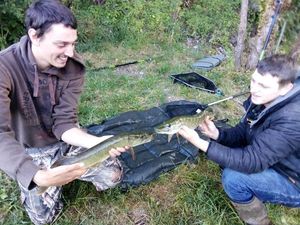 Northern Pike