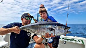 Bluefin Tuna