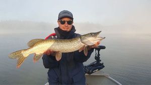 Northern Pike