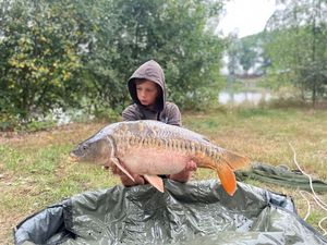 Mirror Carp