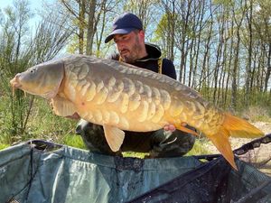 Mirror Carp