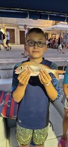 Red Snapper