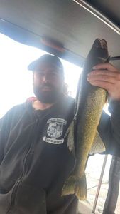Walleye
