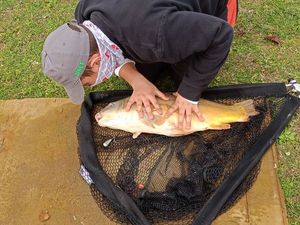 Leather Carp