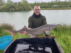 Sturgeon
