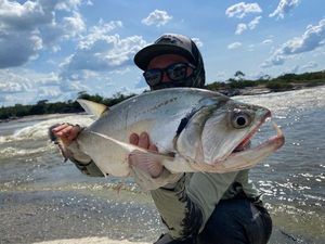 Payara