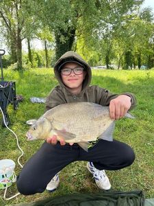 Common Bream