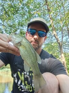 Largemouth Bass