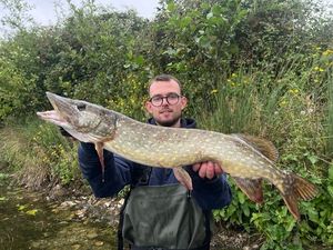 Northern Pike