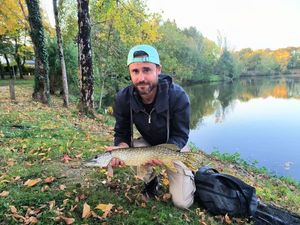 Northern Pike