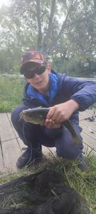 Largemouth Bass