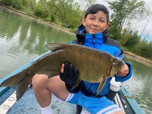 Common Carp