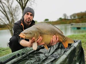 Mirror Carp