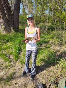 Smallmouth Bass