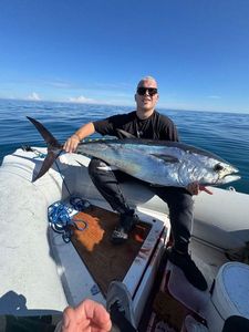 Bluefin Tuna