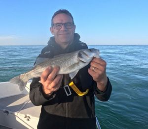European Bass (Seabass)