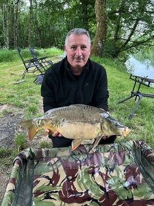 Mirror Carp