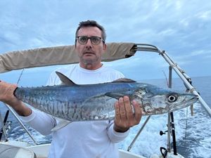 Cero Mackerel