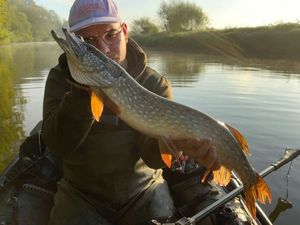 Northern Pike