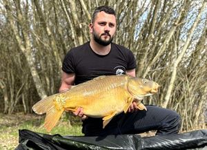 Mirror Carp