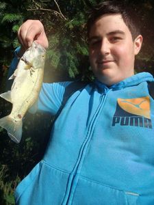 Largemouth Bass