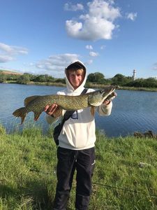 Northern Pike