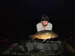 Mirror Carp