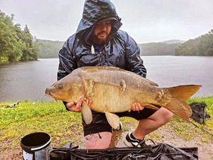 Mirror Carp
