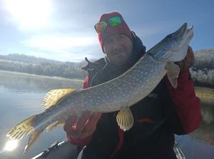 Northern Pike