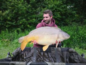 Mirror Carp