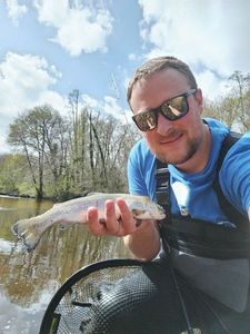 Rainbow Trout